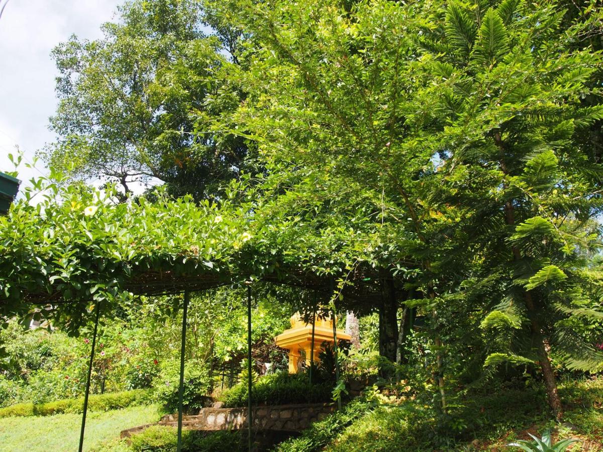 Tearamb Holiday Bungalow Otalawa Zewnętrze zdjęcie