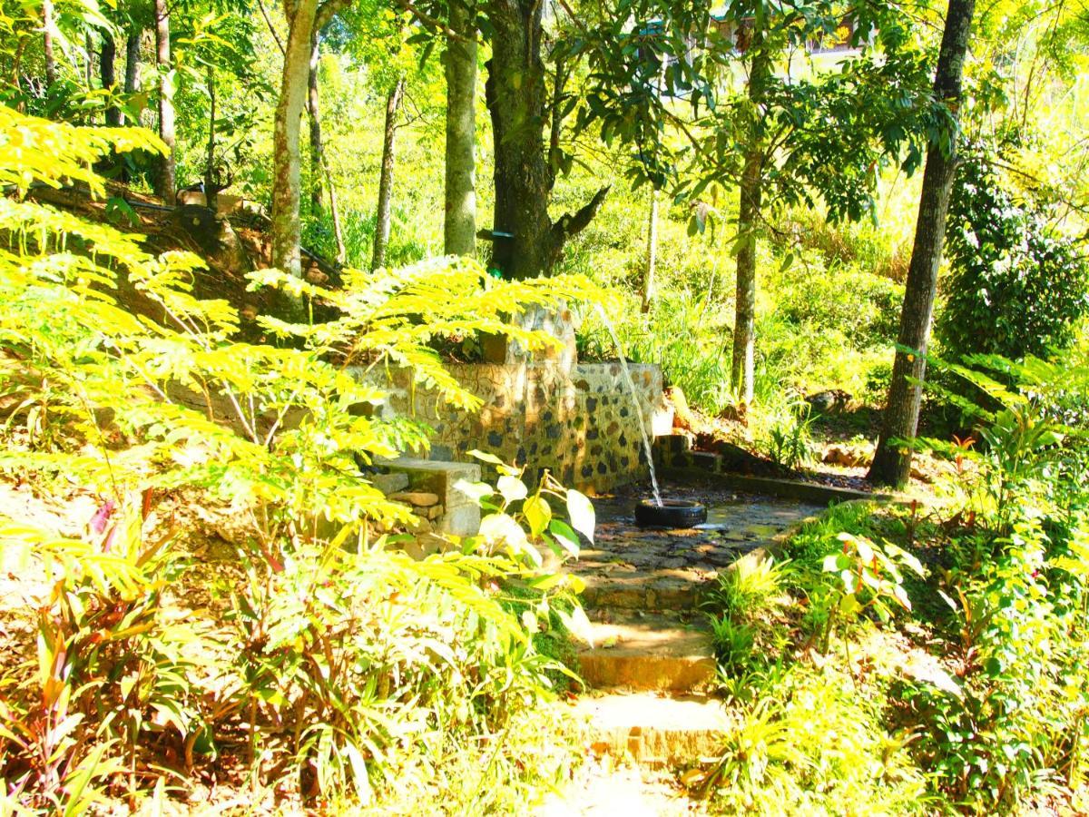 Tearamb Holiday Bungalow Otalawa Zewnętrze zdjęcie