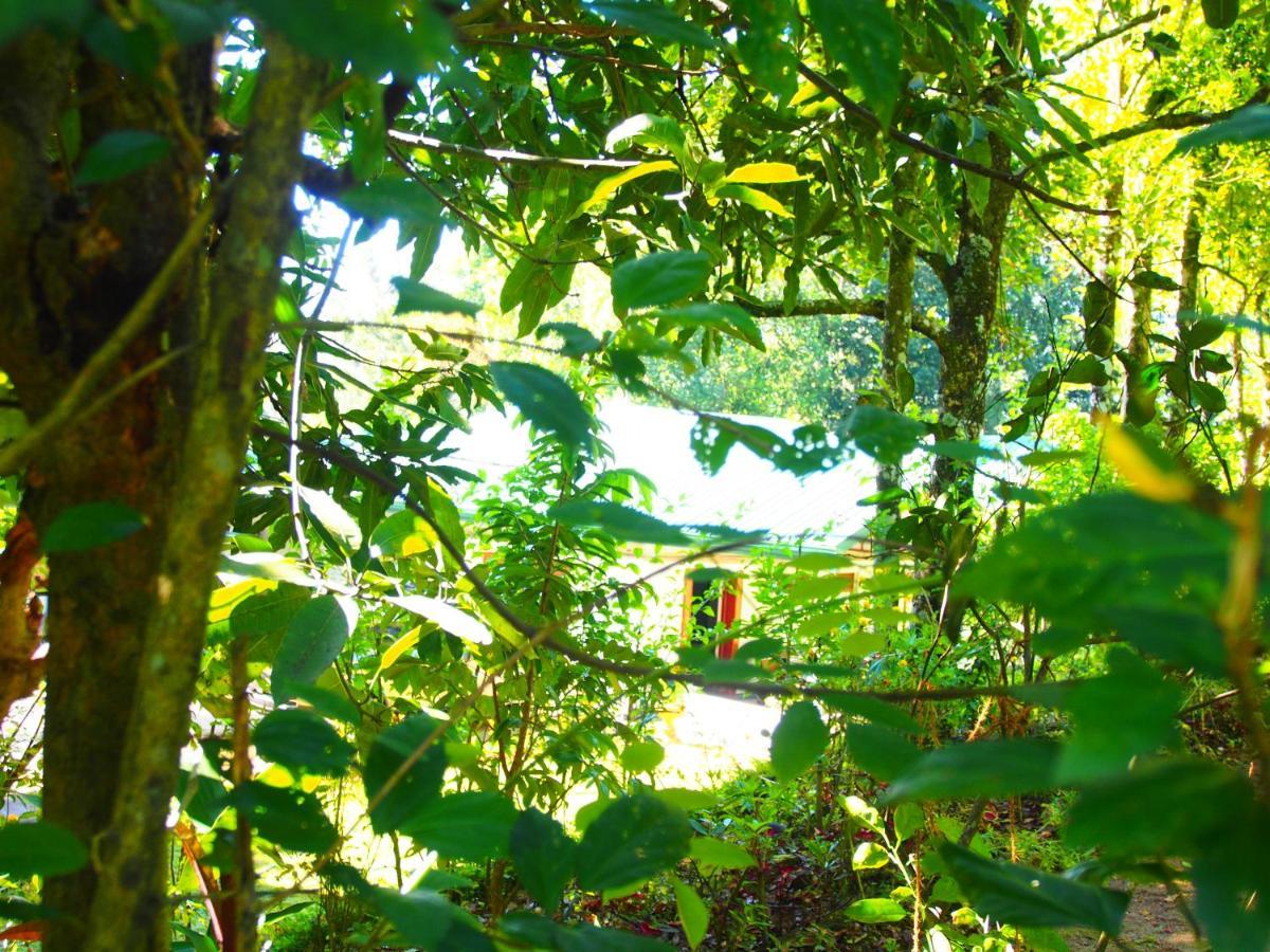 Tearamb Holiday Bungalow Otalawa Zewnętrze zdjęcie