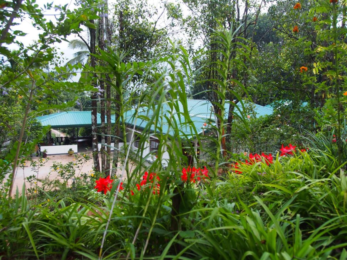 Tearamb Holiday Bungalow Otalawa Zewnętrze zdjęcie