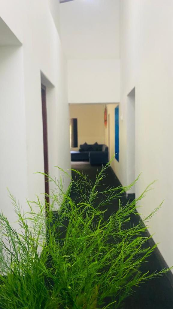 Tearamb Holiday Bungalow Otalawa Zewnętrze zdjęcie