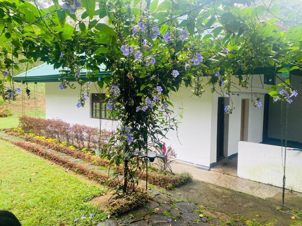 Tearamb Holiday Bungalow Otalawa Zewnętrze zdjęcie